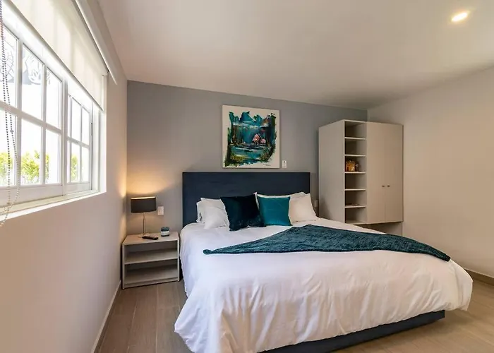 Lovely Loft In The Area Of Coyoacan México DF