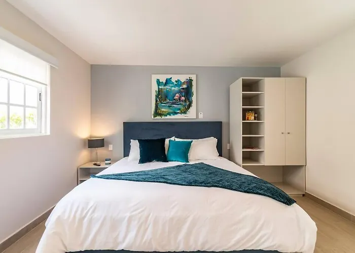 Lovely Loft In The Area Of Coyoacan